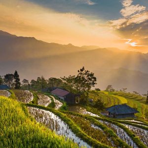 Urban Solar Projects