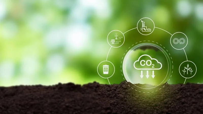 Carbon Market Still Matters for Business